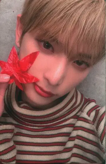 &TEAM 초회 한정판 B HARUA 보름달 AUTUMN BOX 주황