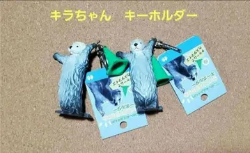 도바 수족관 키라짱 랏코 키라짱 키링 3월 29일 신상품