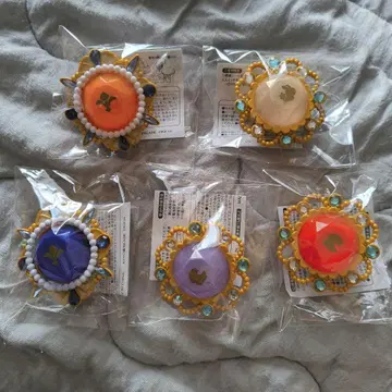 스태라이 앙스타 스피어라이트 린네츠 레오 소 유야 히카루