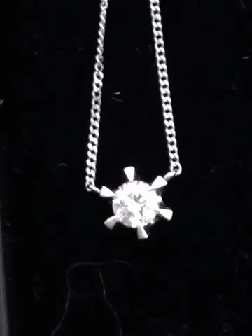 플라티나 850 다이아몬드 0.34ct 프티 목걸이