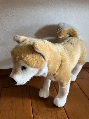 시바견 봉제 인형 대 kosen