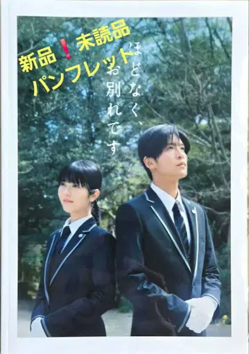 영화 곧 이별입니다 팜플렛 새상품 미개봉 메구로 렌 하마베 미나미