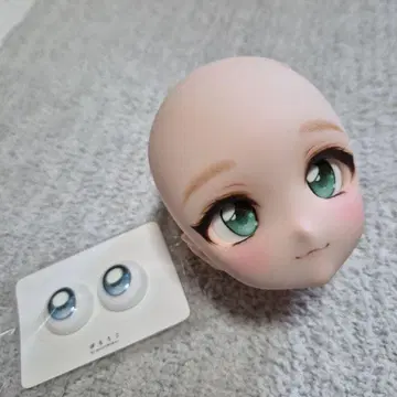 돌피드림 딜러님 제작 커스텀 헤드 DDH-27 SW