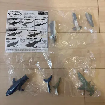 새상품 놀이 생물 피규어 시리즈 더 샤크 집결! 상어의 동료들