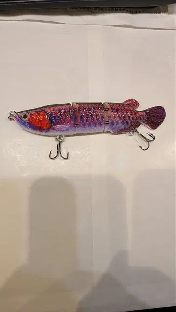 레어한 아로와나 루어!