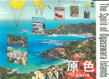 이시하라 슌 오가사와라의 혼 원색 부속 DVD 미개봉