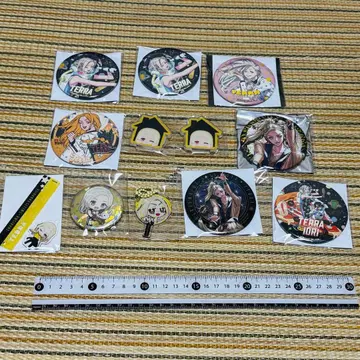 정리 카리스마 테라 캔뱃지 아크릴 키링 등 세트 v