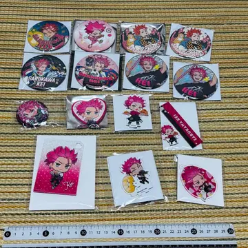 정리 카리스마 사루카와 케이 캔뱃지 아크릴 스탠드 등 세트 v