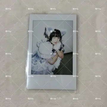 큐루링 해봐 타마키네 생일 축제 2025 의상 폴라로이드