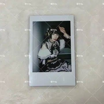 큐루링 해봐 타마야네 폴라로이드