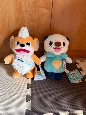 물개 포켓몬 로컬 Acts 물산전 오리지널 봉제 인형