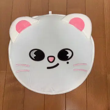 straykids MANIAC 부채 케이스 Jiniret