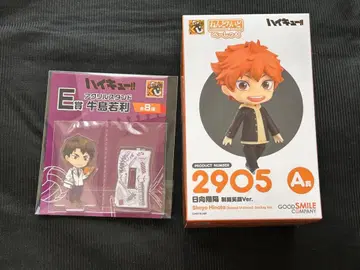 하이큐 구스마 복권 히나타 쇼요 A상 넨도로이드 피규어 우시지마 와카토시