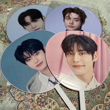 zb1 지운 부채 묶음 판매