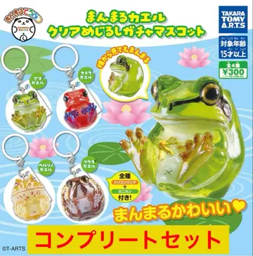 만마루 개구리 클리어 메지루시 가챠 마스코트 컴플리트 세트
