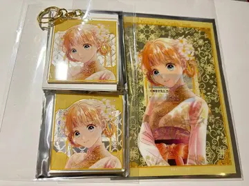 [ 스즈노 세트 ] 후시기 유기 POPUP 마루이