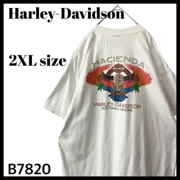할리데이비슨 버팔로 스컬 백 프린트 T셔츠 화이트 2XL