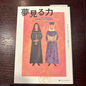 꿈꾸는 힘 : 카발라와 내면의 비전을 살다