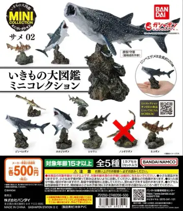 생물대도감 상어 4종