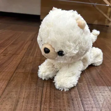 크림색 고양이 봉제 인형