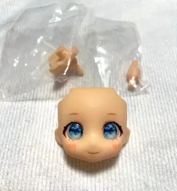 [ 익명 배송 ] 넨도로이드돌 커스텀 페이스 레진 아이