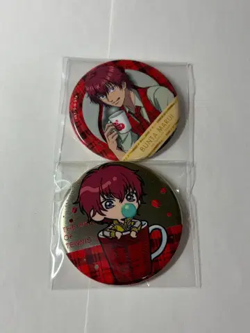 테니스의 왕자님 마루이 분타 캔뱃지