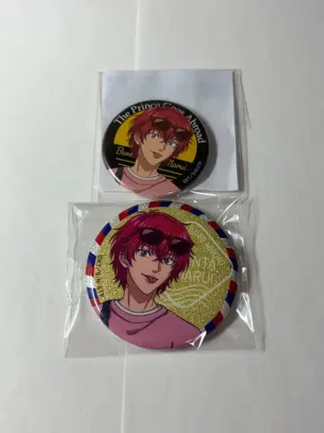 테니스의 왕자님 마루이 분타 캔뱃지