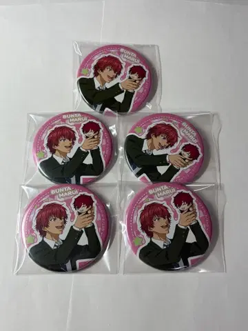 테니스의 왕자님 마루이 분타 캔뱃지