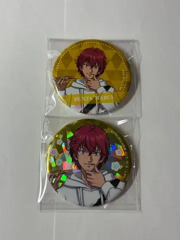 테니스의 왕자님 마루이 분타 캔뱃지