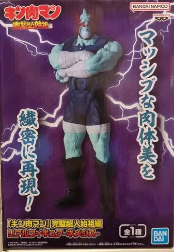 반다이 스피리츠 리얼 피규어 근육맨 완벽 초인 시조편 네메시스