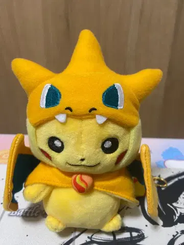 메가리자몽Y 판초를 입은 피카츄 포켓몬 센터 한정판