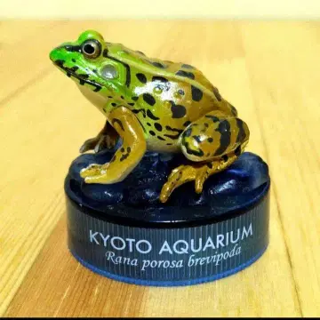 교토 수족관 한정판 카이요도 피규어 컬렉션 나고야달마개구리