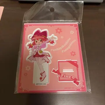 신비한 별의 쌍둥이 공주 파인 아크릴 스탠드