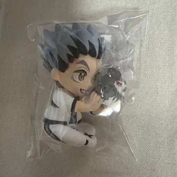 하이큐!! 숨바꼭질 보쿠토 코타로 시크릿