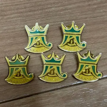 아라시 핀 배지