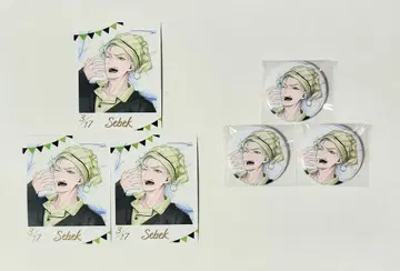 트위스테 세벡 편안한 마이룸 사진풍 카드 캔뱃지 굿즈 카드