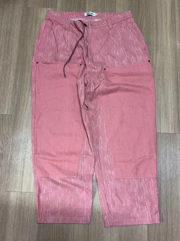 Evisen 페인터 팬츠