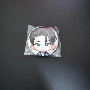 ENHYPEN WORLD HIGH SCHOOL 쿠션 핀 배지 제이