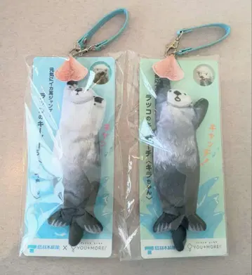 도바 수족관 활기찬 이카미미 점프 랏코 키 파우치 메이 키라 새상품