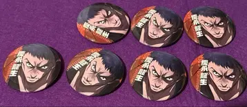 휴먼버그 대학 캔뱃지 모음