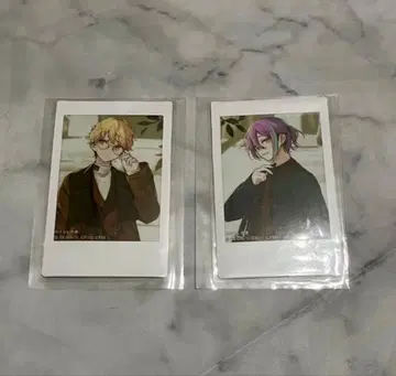 프로세카 ZOZOTOWN 폴라로이드 루이 각 1장