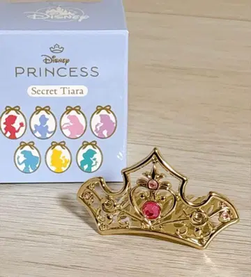 디즈니 프린세스 시크릿 티아라 오로라 공주 박스 포함
