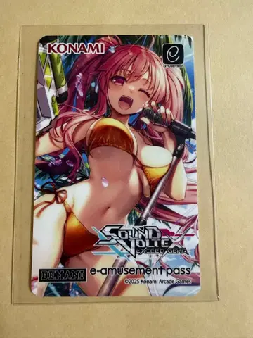 SOUND VOLTEX 복권 e-amusement pass 레이시스