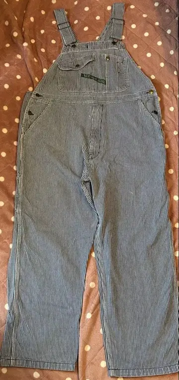 키 히코리 페인터 오버롤