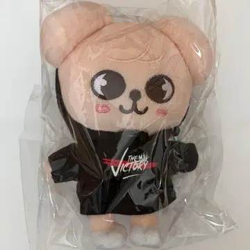 StrayKids 스키즈 Seungmin 승민 PuppyM 퍼핌