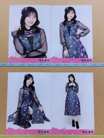 AKB48 후쿠오카 세이나 봄 콘서트 2026 랜덤 브로마이드 컴플리트