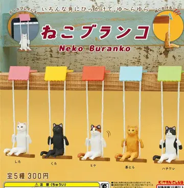 가챠 고양이 블랑 풀 컴프