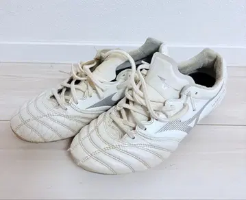 미즈노 축구화 화이트 24cm