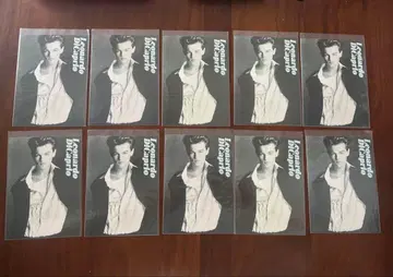 레오나르도 디카프리오 엽서 10장 세트