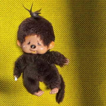 세키구치 몽치치 당시 물건